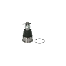 Load image into Gallery viewer, HONDA CIVIC EP3 TYPE-R FRONT LOWER BALLJOINT - 555 BRAND