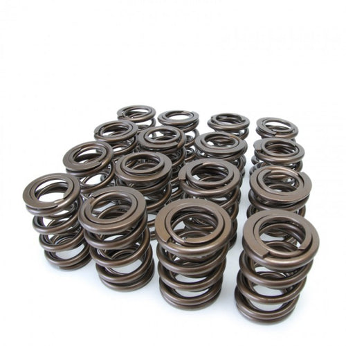 SKUNK2 ALPHA SERIES VALVE SPRING KIT B16 B18